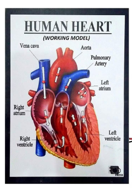 Teaching Models